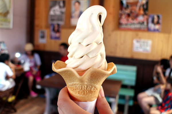 超濃厚！ピーナッツのおいしさぎっしりのソフトクリームを味わえる！千葉・館山のピーナッツ直売店 ピネキ